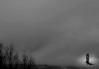 Silhouette of man in water against sky