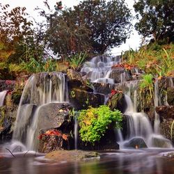 Waterfall in forest