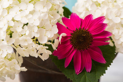 Close-up of fresh pink flower bouquet