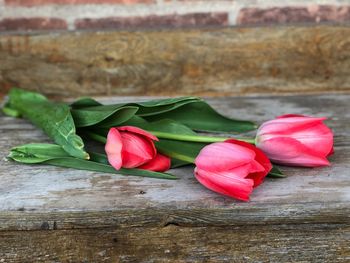 Close-up of pink roses on table