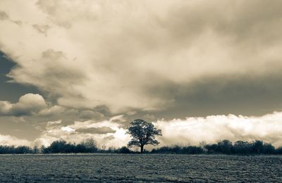 Scenic view of field against cloudy sky