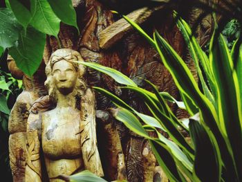 Close-up of statue against plants