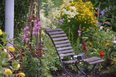 Empty wooden chair amidst plants in park