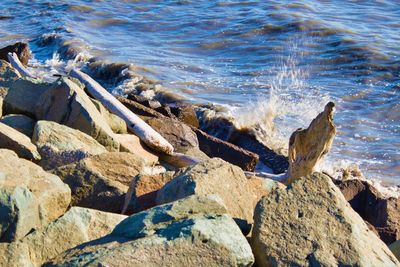 Scenic view of sea shore