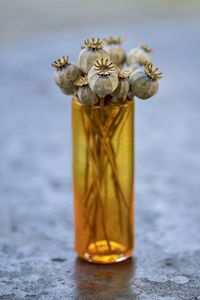 Close-up of trophy on table