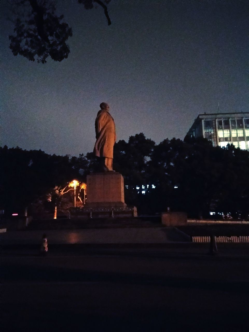 SILHOUETTE OF STATUE IN CITY AT NIGHT