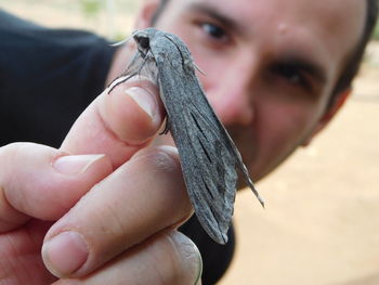 Close-up of a hand holding insect