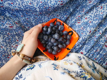 High angle view of woman holding fruit