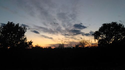 Silhouette trees on landscape against sky at sunset