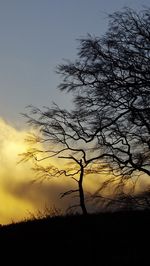 Silhouette of bare trees on landscape at sunset