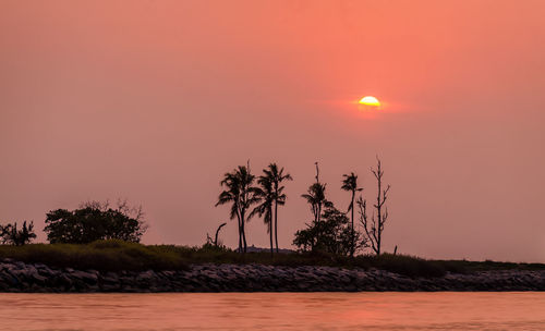 Silhouette trees against romantic sky at sunset