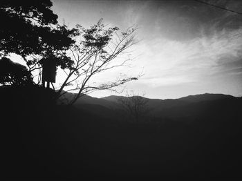 Silhouette of trees against sky