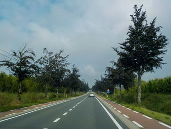 Country road along trees