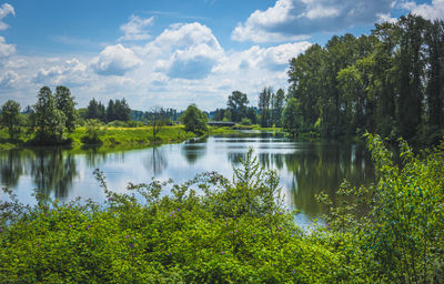 Scenic view of lake in forest against sky