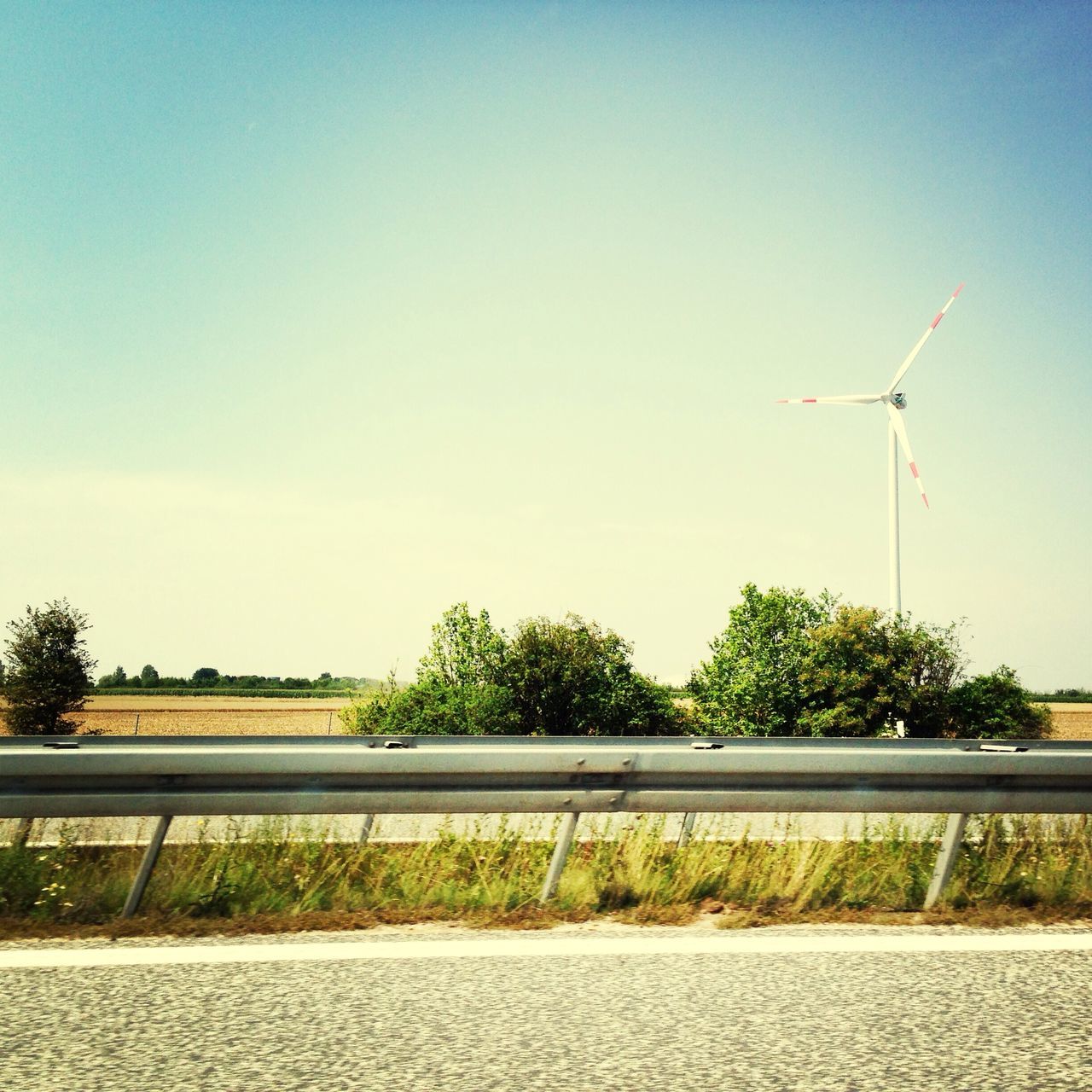 clear sky, tree, copy space, transportation, street light, alternative energy, growth, environmental conservation, sky, sunlight, blue, fuel and power generation, day, plant, renewable energy, wind power, nature, outdoors, wind turbine, road