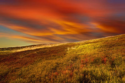 Scenic view of grassy field against sky during sunset