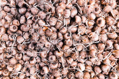 Full frame shot of roasted coffee beans