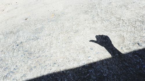 Shadow of person hand on land