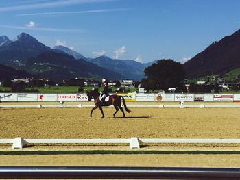 Man looking at horses against clear sky