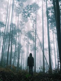 Rear view of people standing in forest