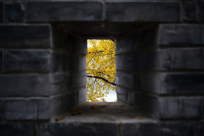 Close-up of yellow light on wall