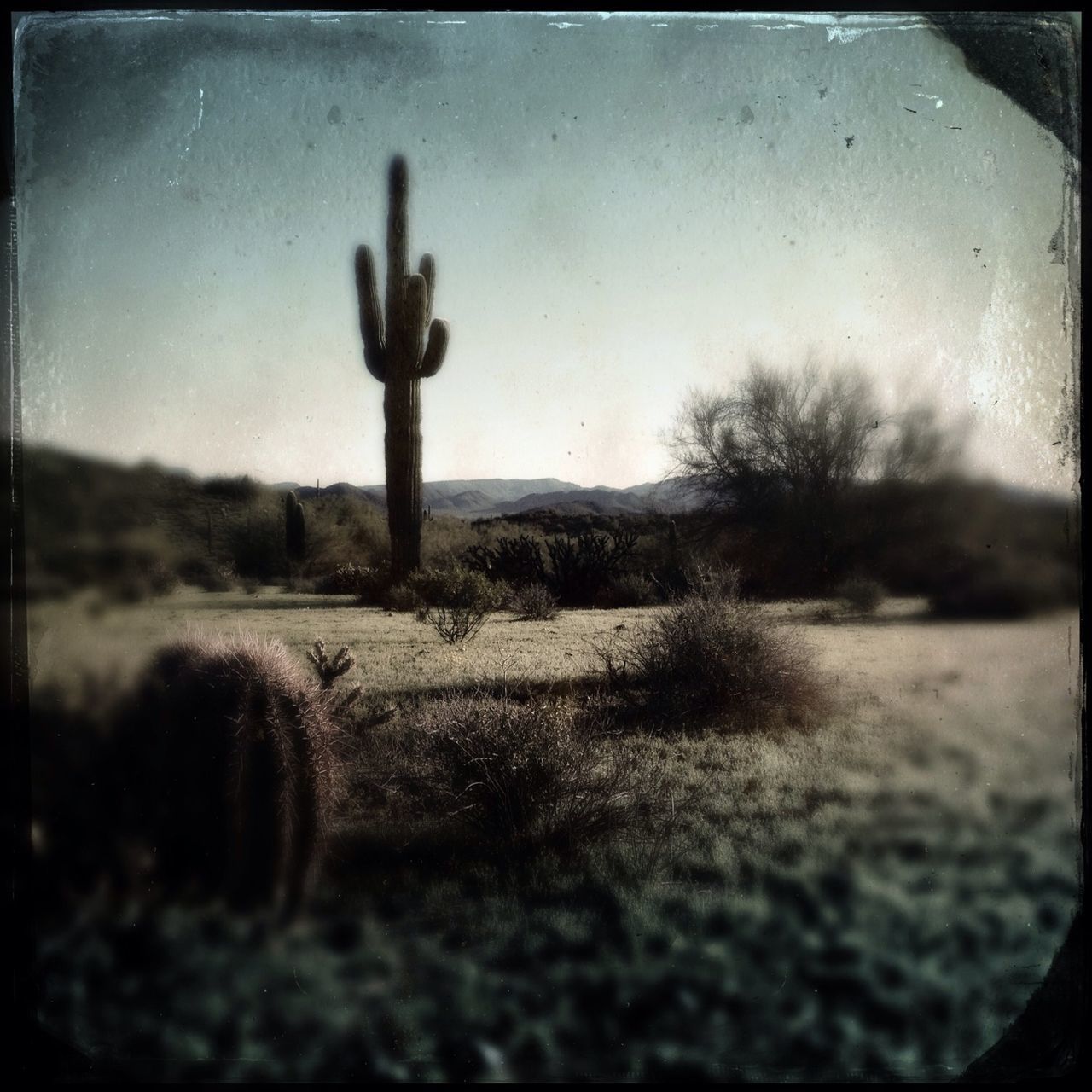 Hipstamatic Tinto in the Desert