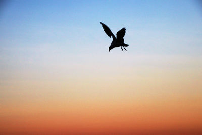 Low angle view of silhouette bird flying against clear sky