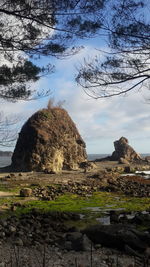 Rock formation amidst trees against sky