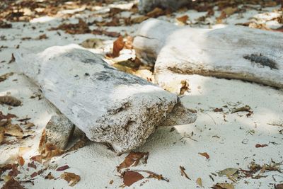 High angle view of broken on field