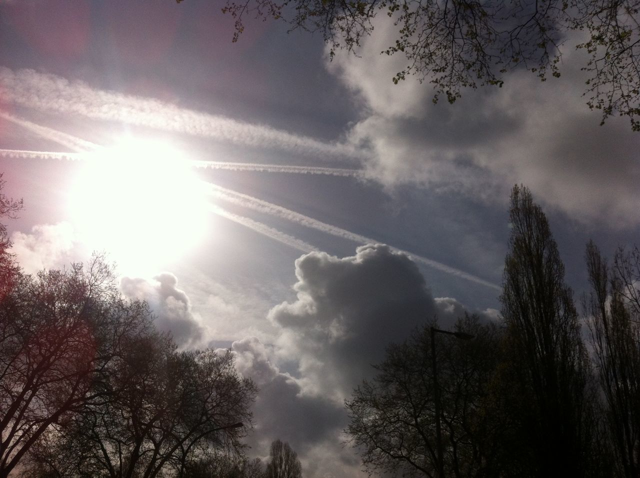 LOW ANGLE VIEW OF SILHOUETTE TREES AGAINST SKY