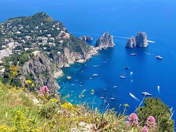 Aerial view from the top of capri