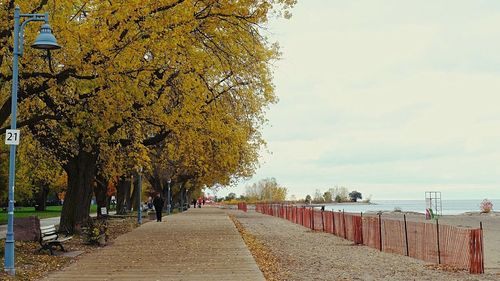 Footpath amidst trees against sky during autumn