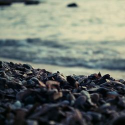 Close-up of stones on shore