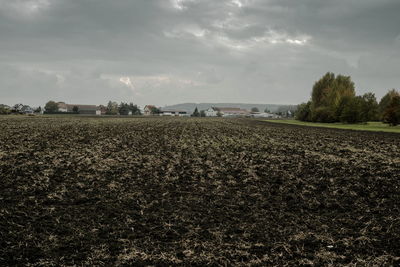 Scenic view of field against sky