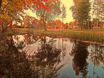 Scenic view of lake and trees during autumn