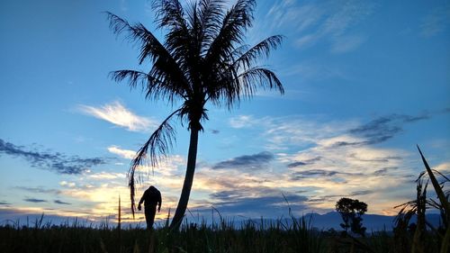 Low angle view of silhouette tree against sky