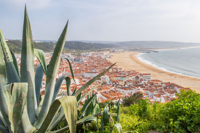 Aerial view over the red rooftops of nazaré, portugal, down to nazaré beach and the atlantic ocean