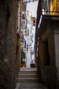 Narrow alley amidst buildings in city