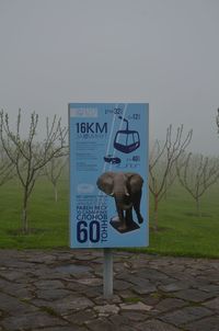 Information sign by tree against clear sky