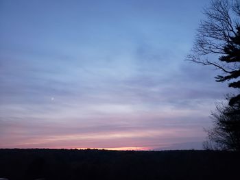 Low angle view of silhouette trees against sky at sunset