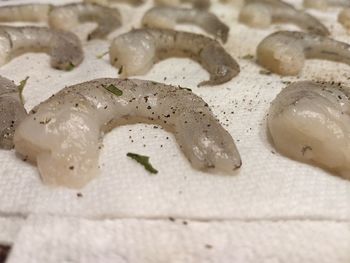 Close-up of fish in plate