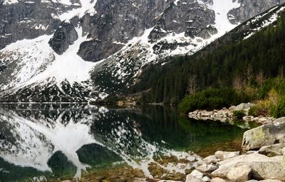 Scenic view of lake by trees