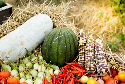 Close-up of fruits and vegetables