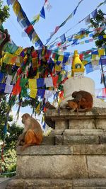 View of a temple