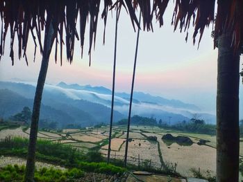 Scenic view of landscape against sky