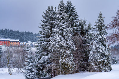 Snow covered trees on field against sky