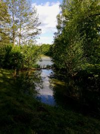 Scenic view of lake in forest against sky
