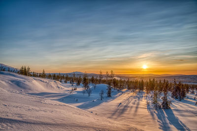 Scenic view of snow covered field against sky during sunset