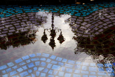 Reflection of trees in water