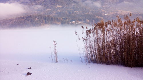 Scenic view of landscape during winter